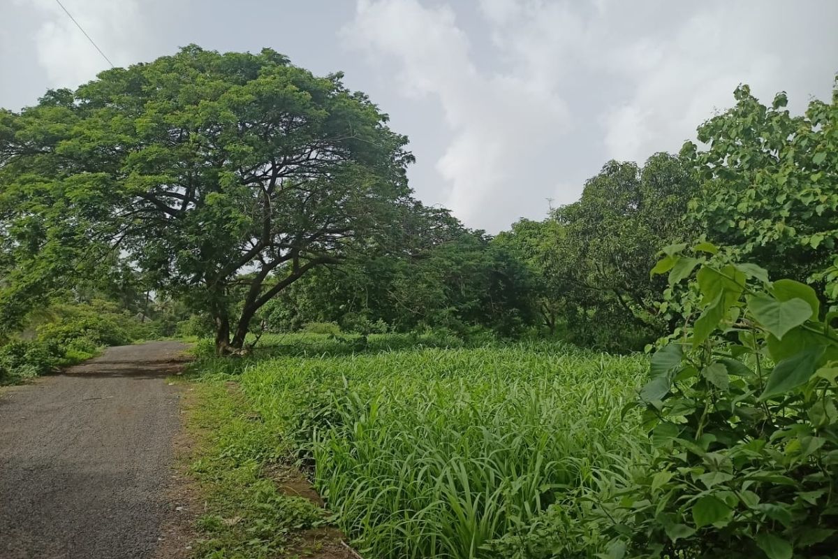 1-acre-land-for-sale-in-ranjanpada