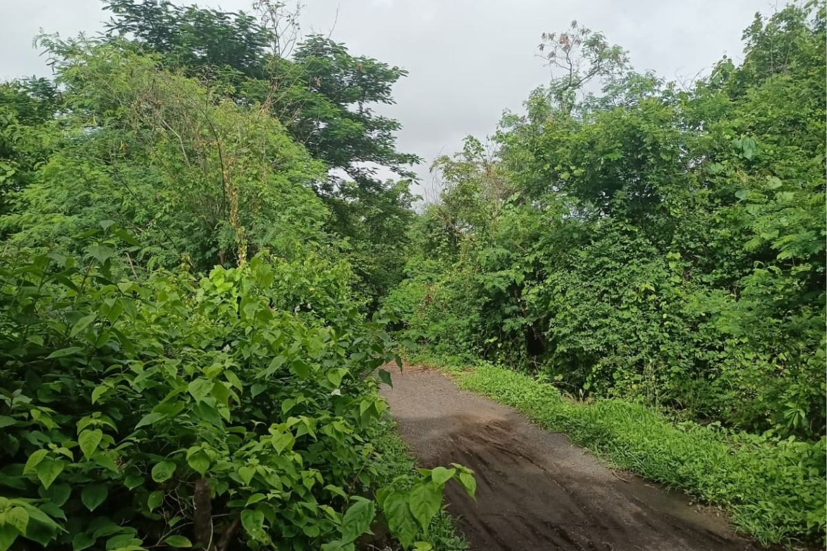 1-acre-plot-for-sale-in-ranjanpada