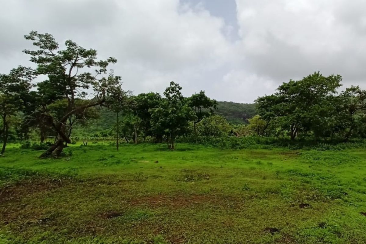 property-for-sale-at-alibaug-mhatroli