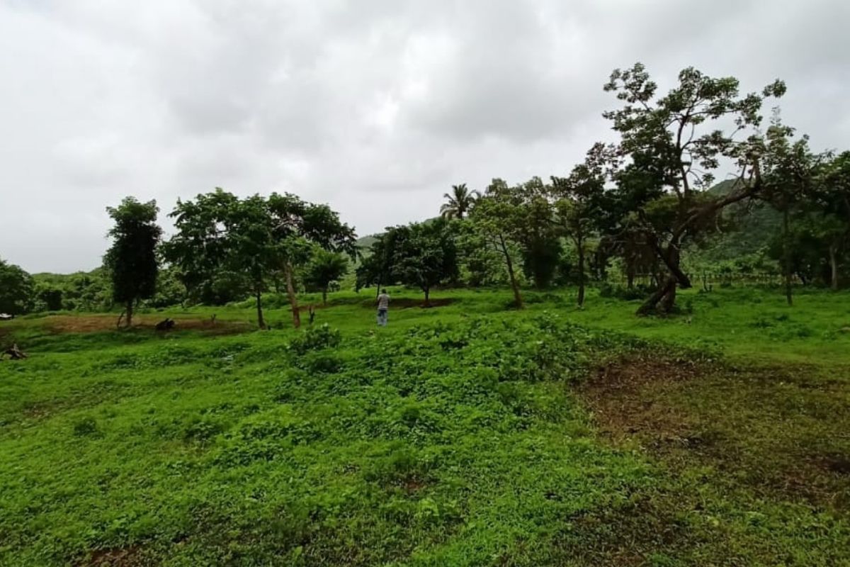 property-for-sale-mhatroli