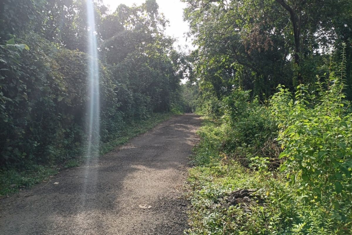 18_guntha_plot_for_sale_at_alibaug
