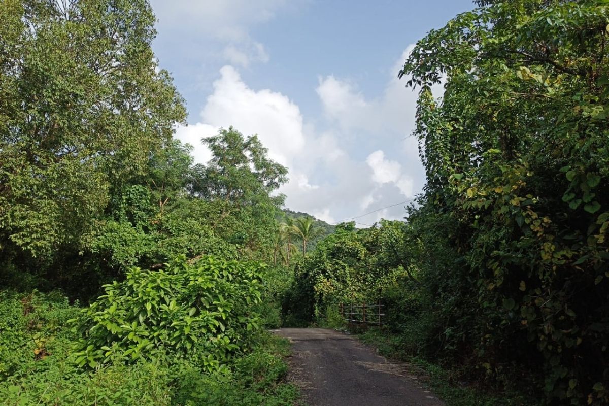 buy_18_acre_land_at_nandaipada alibaug
