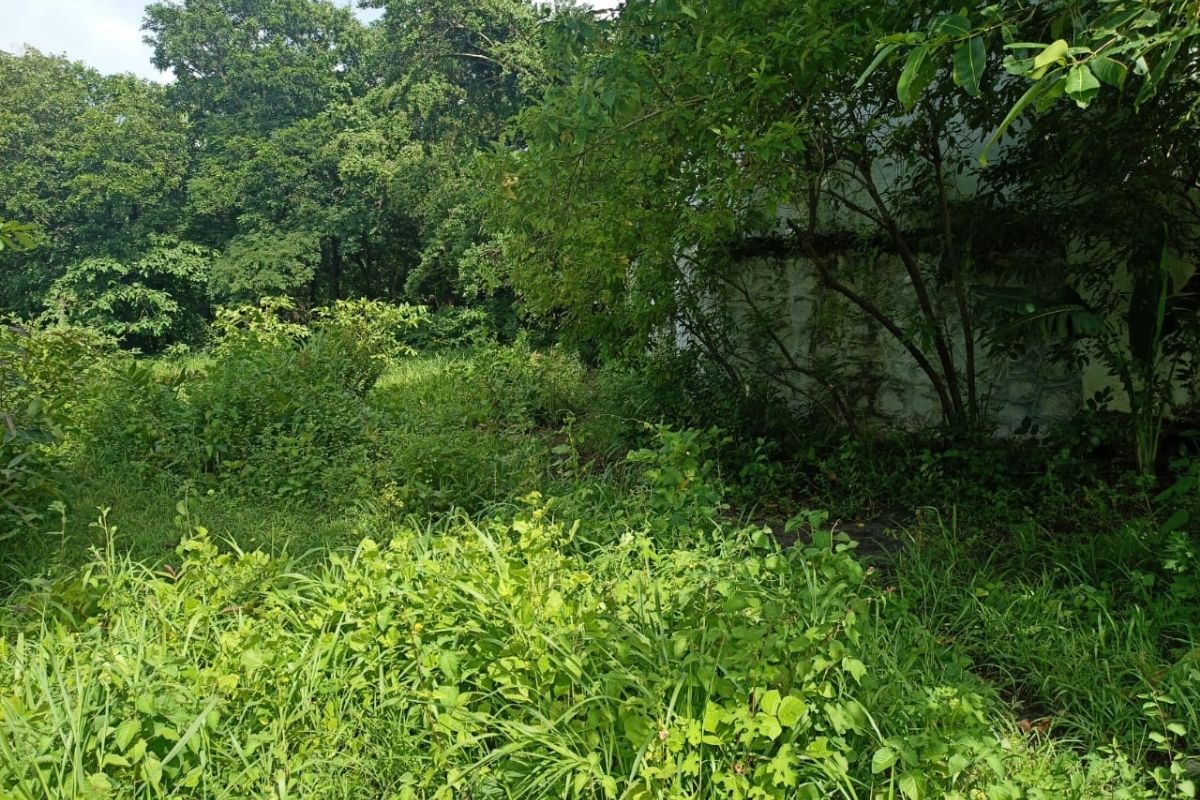 properties_for_sale_in_alibaug_16_guntha