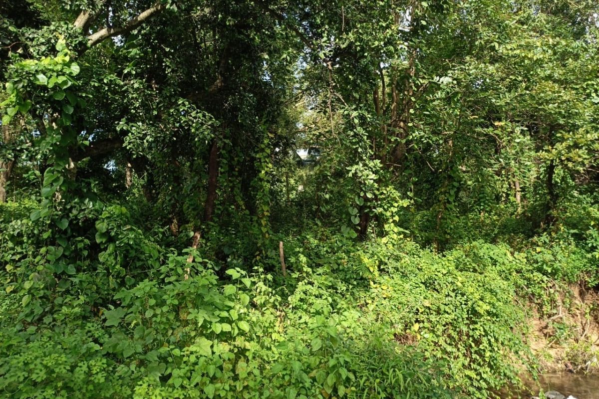 Residential-property-for-sale_Dhokawade