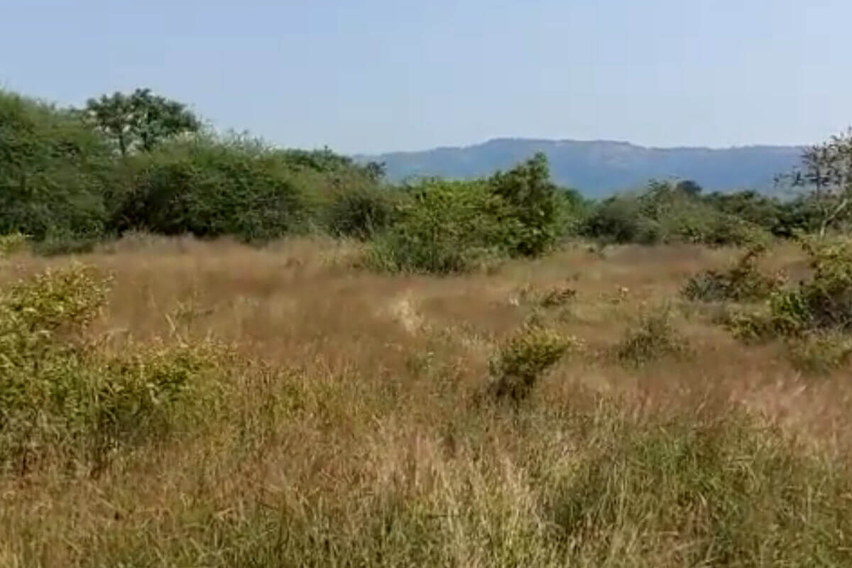 agricultural-land-for-sale-at-alibaug