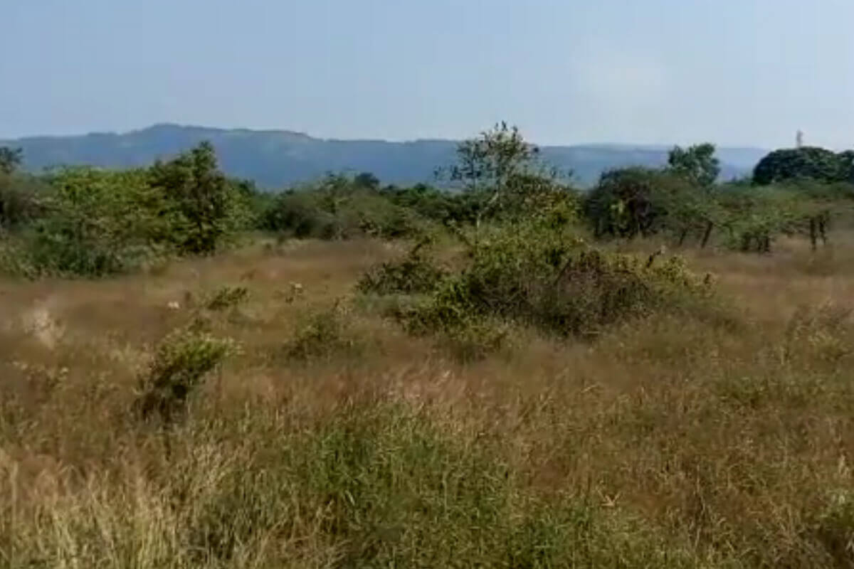 2-acres-land-for-sale-at-alibaug-Satirje