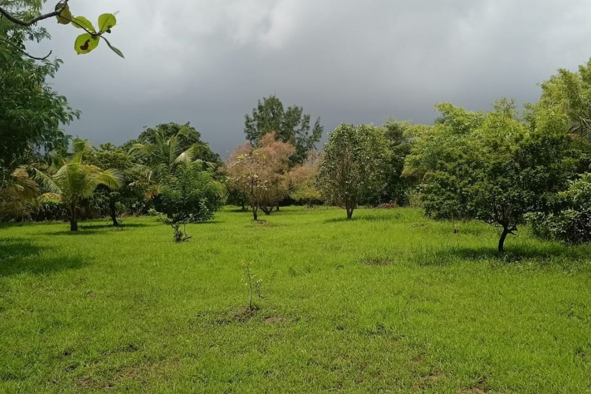 20-guntha-for-sale-at-kihim-beach