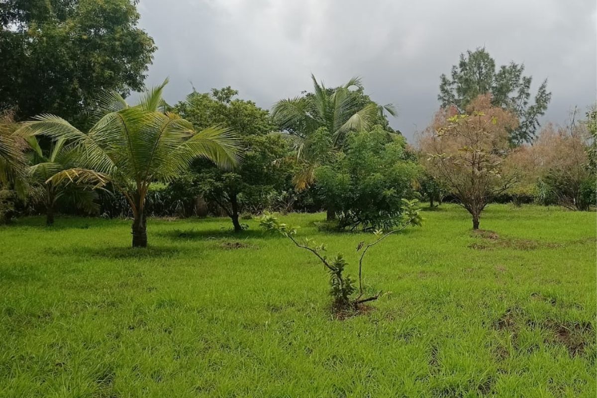 Land-for-sale-at-kihim-20-guntha