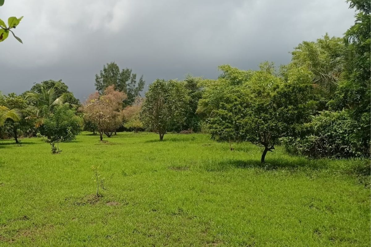 buy-20-guntha-plot-at-kihim 