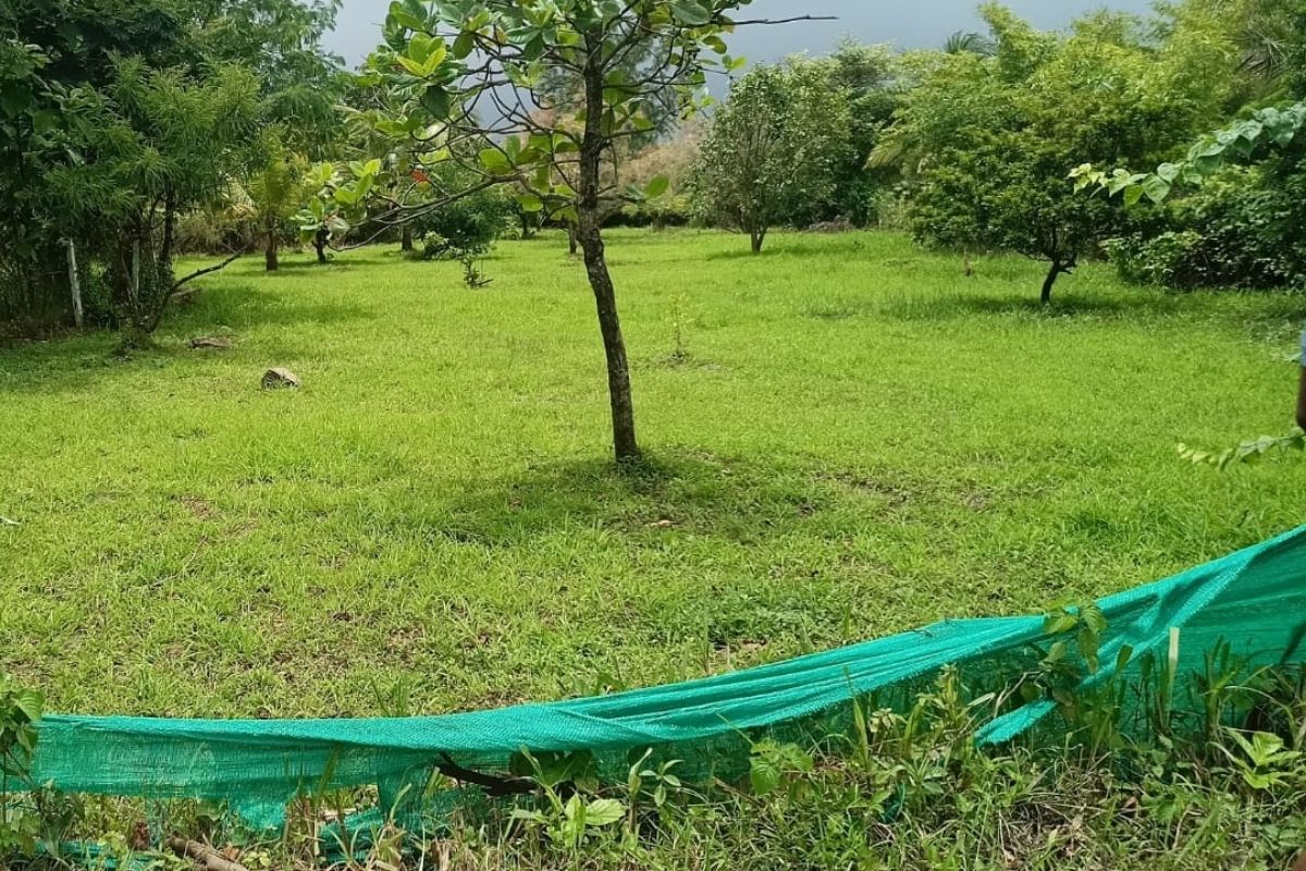 property-for-sale-in-alibaug-20-guntha