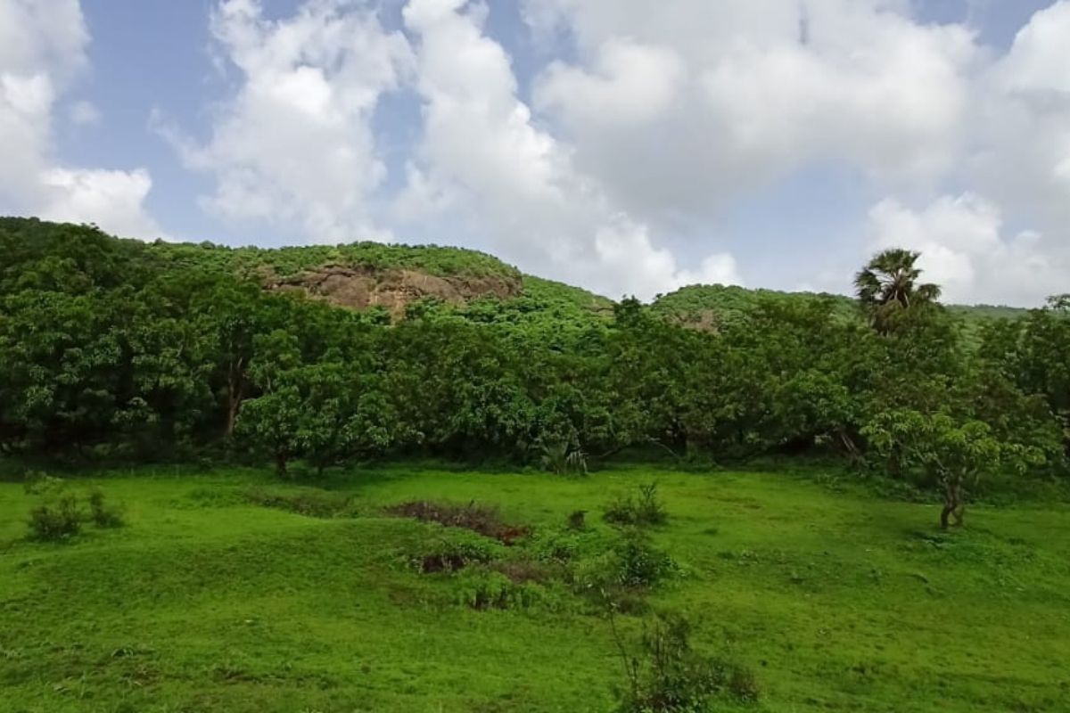 25-acre-Hill-view-plot-for-sale 