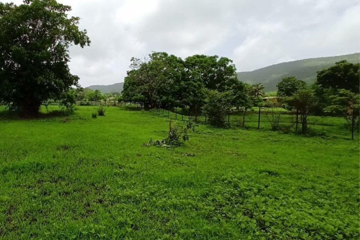 26-guntha-land-for-sale-at-alibaug