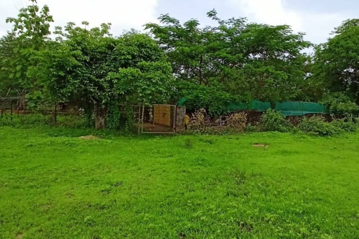 agricultural-land-for-sale-in-alibaug.