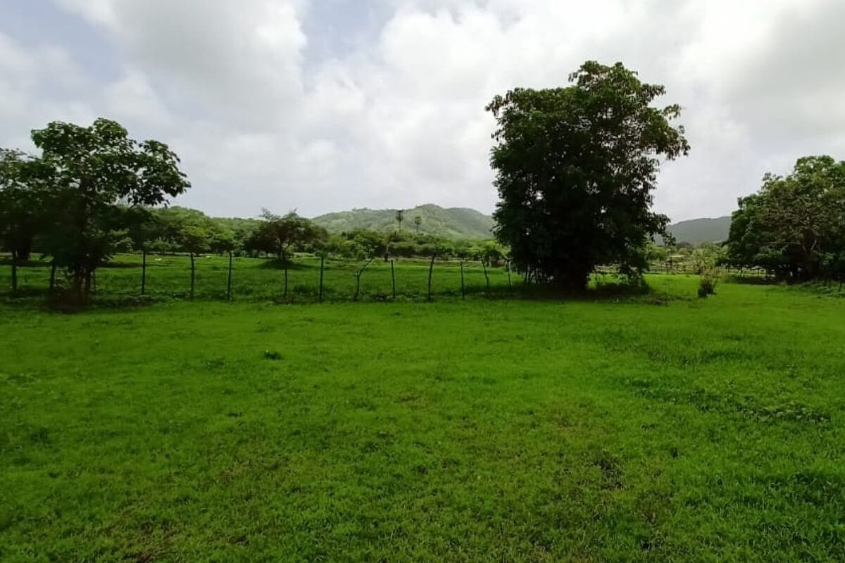 buy-property-in-alibaug-26 guntha