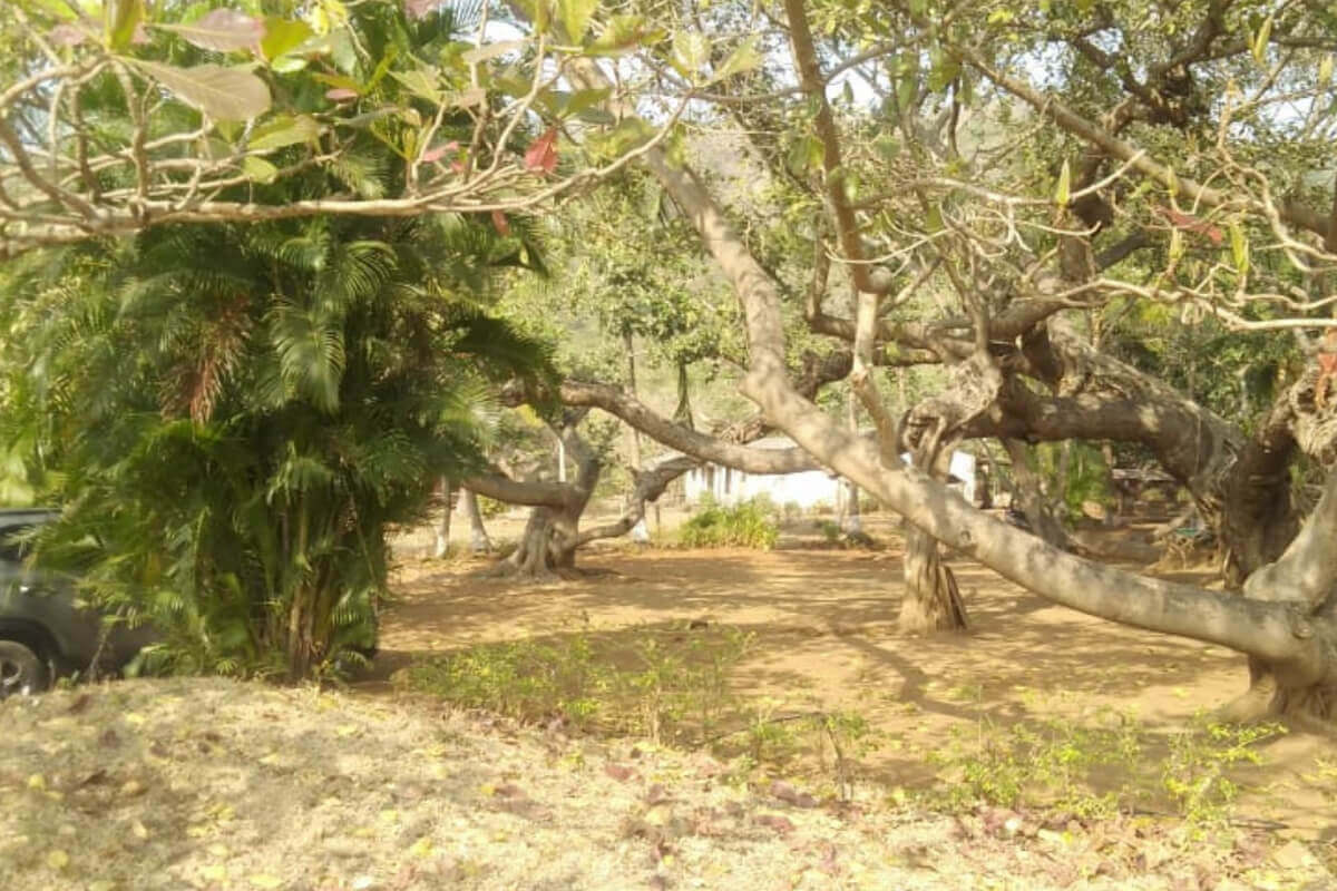 27-Guntha-Residential-for-sale-alibaug