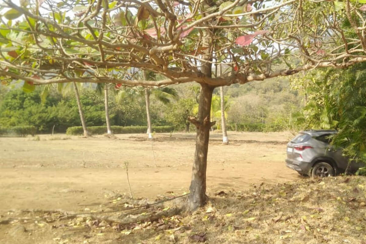 27-Guntha-plot-for-sale-alibaug