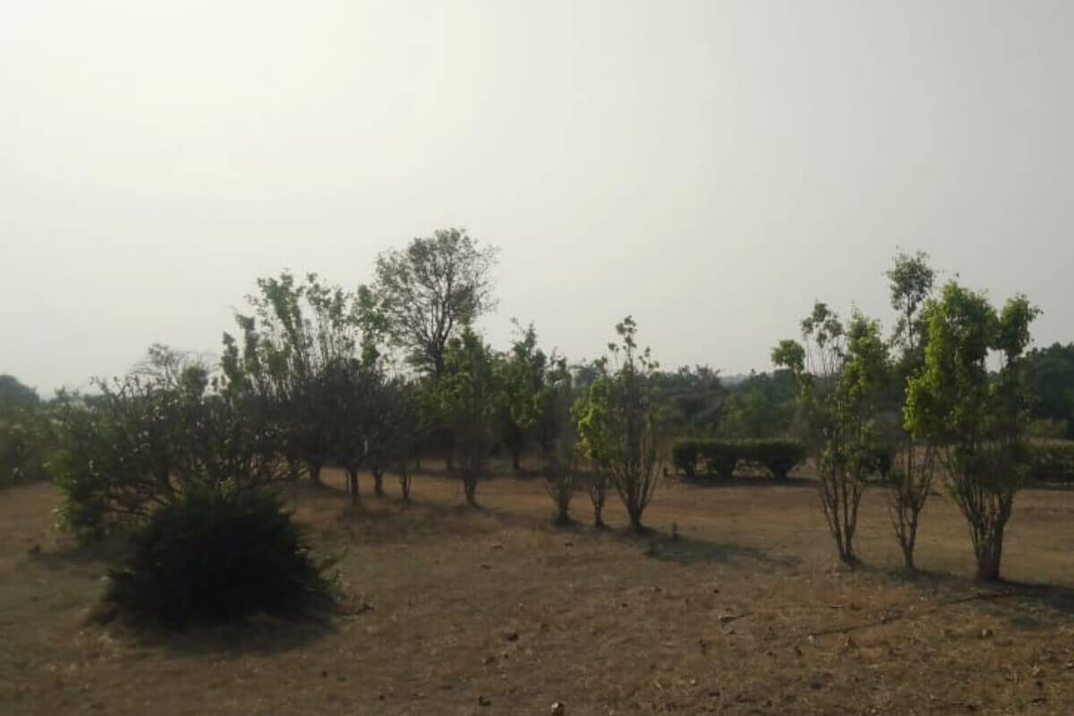 Residential-for-at-alibaug