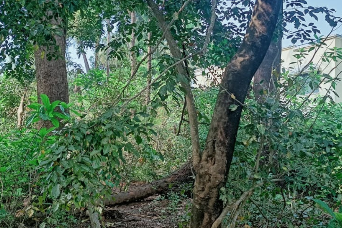 28-guntha-beach-land-for-sale