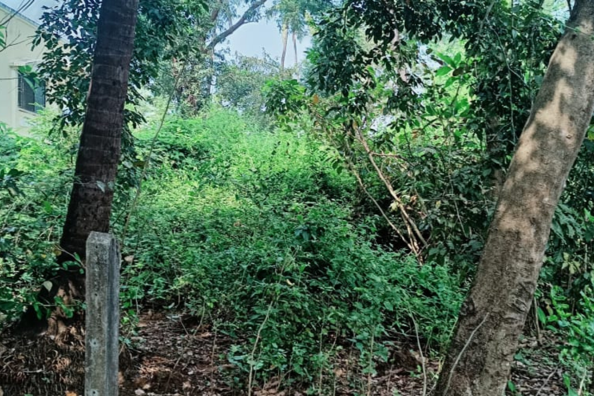 28-guntha-plot-for-sale-in-alibaug-nagaon-hiranandani