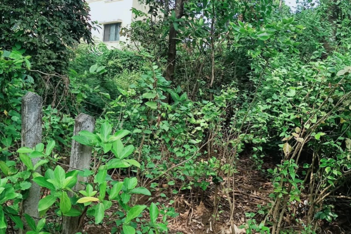 property-for-sale-alibaug-28-acres