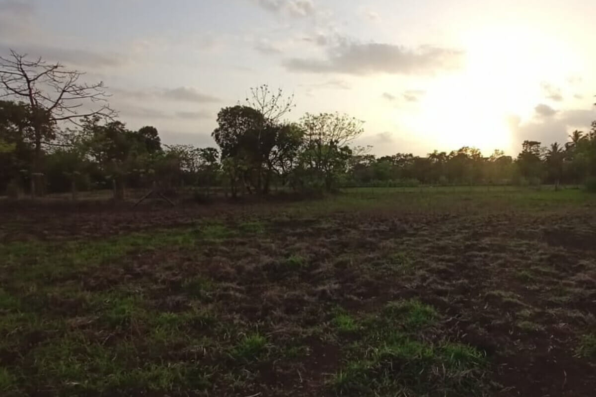 land-for-sale-in-alibaug-kihim