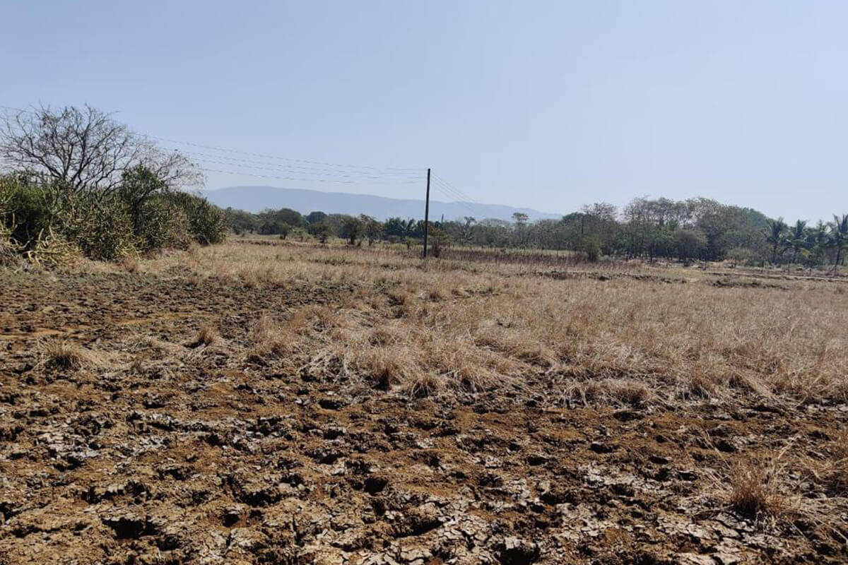 36-guntha-agricultural-land-for-sale-in-alibaug