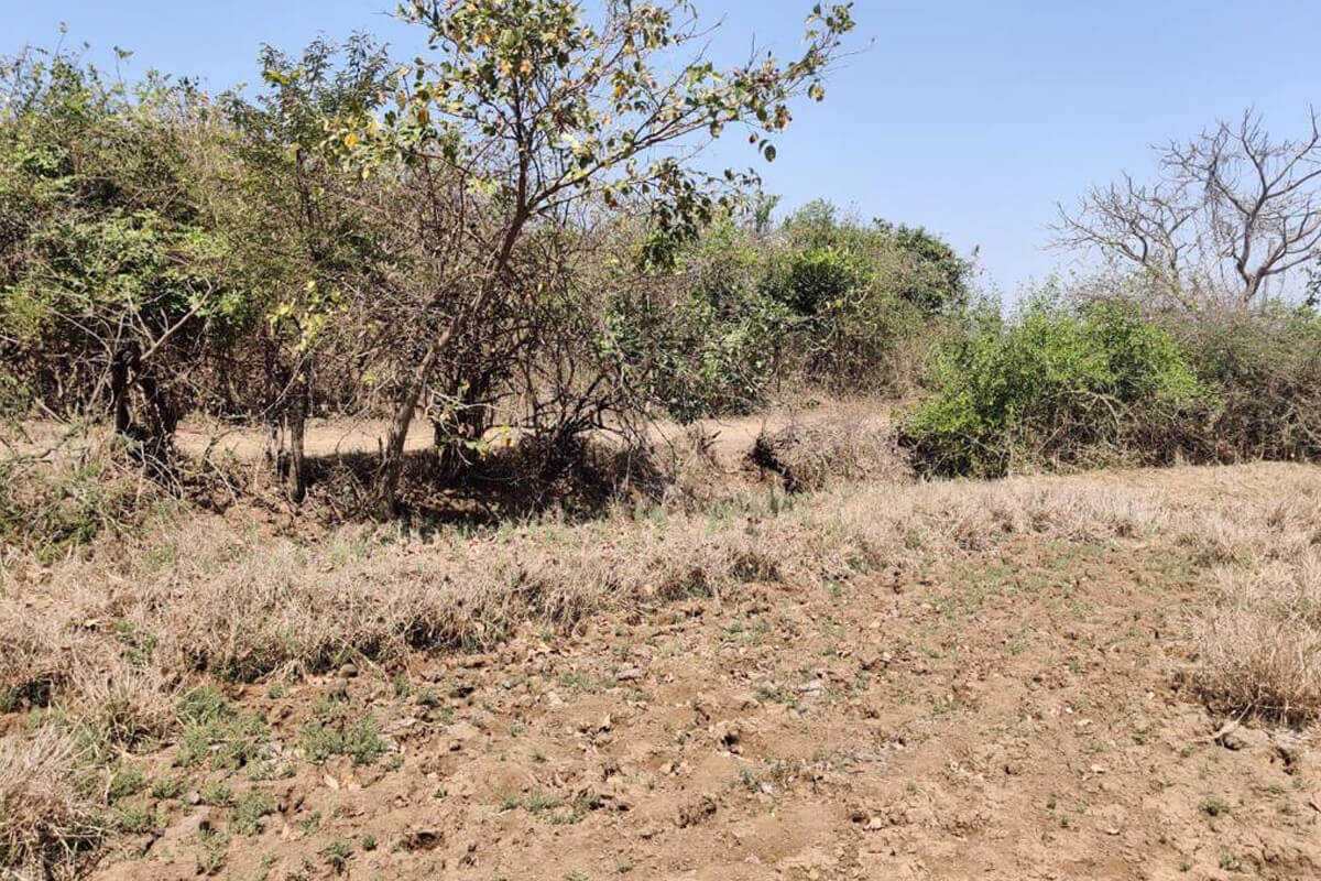 buy-36-guntha-land-alibaug-