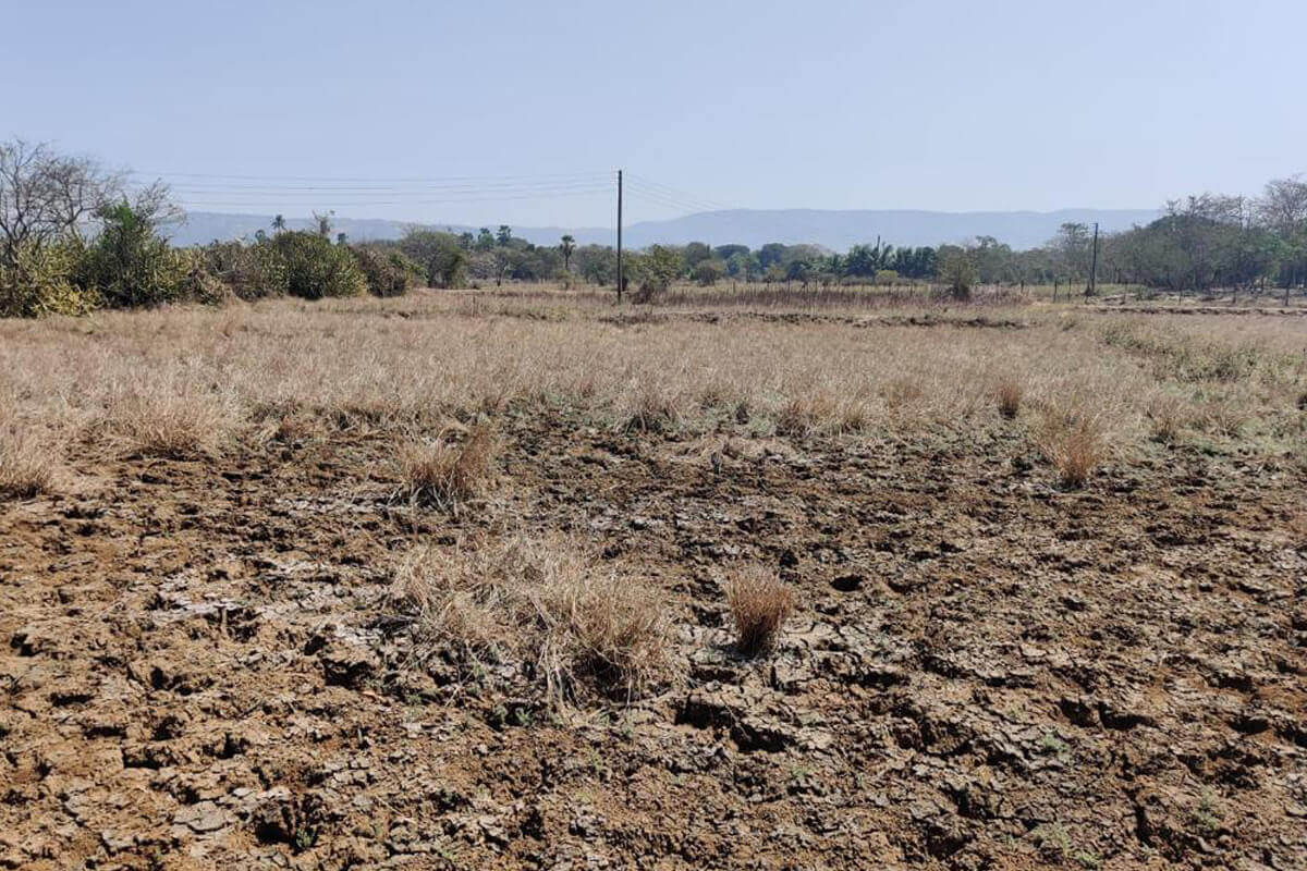 36-guntha-agricultural-land-for-sale-in-alibaug