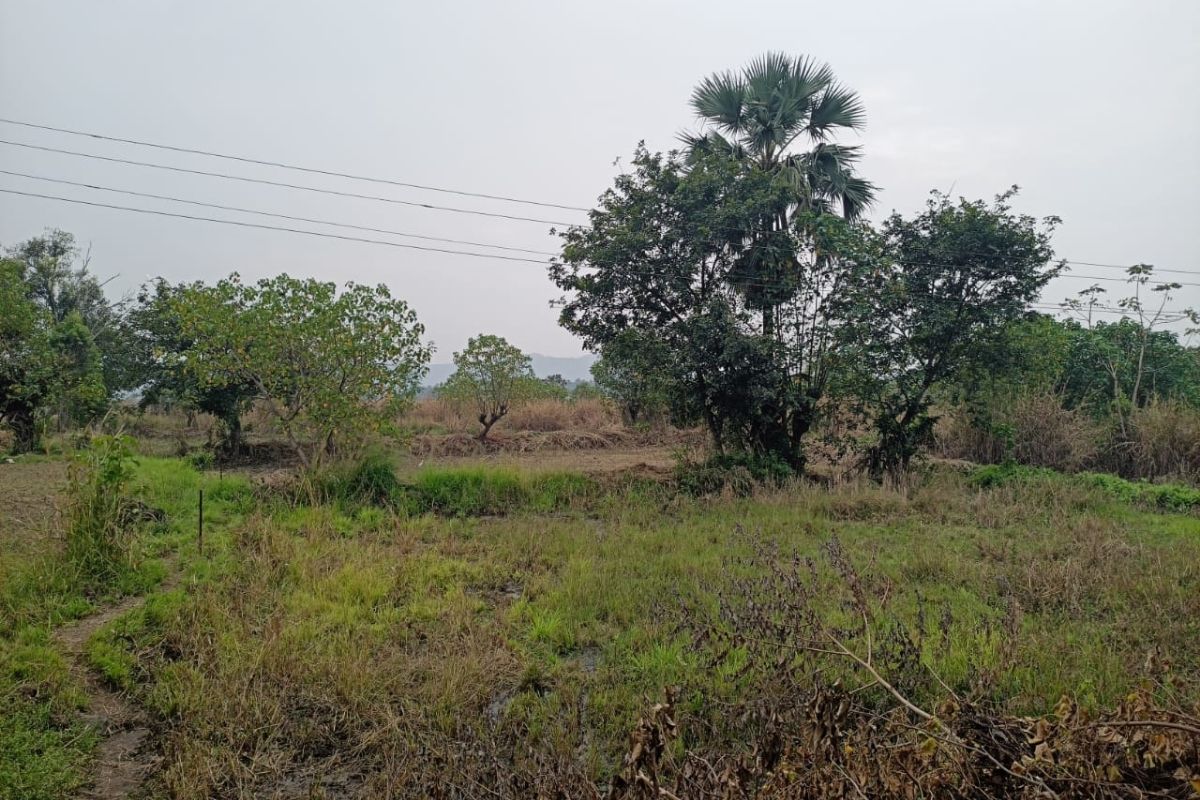 plot-for-sale-5-Acre-revdanda