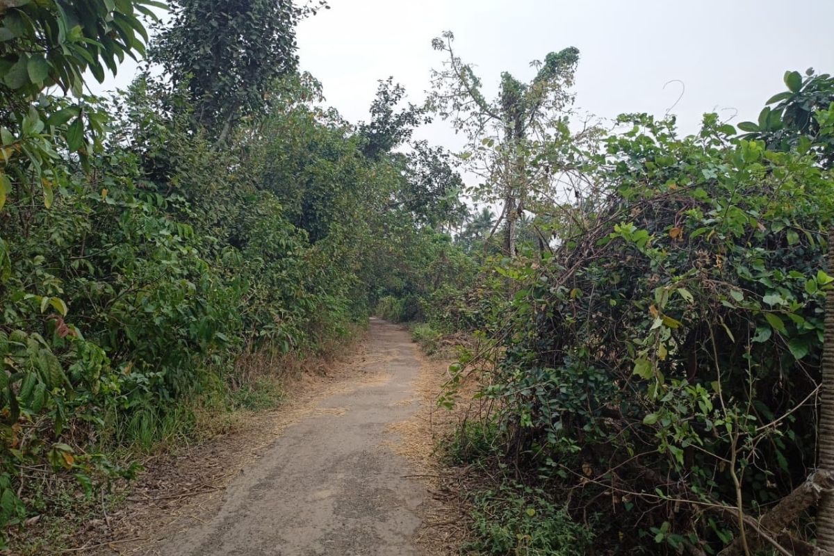 beach-property-for-sale-5-acre