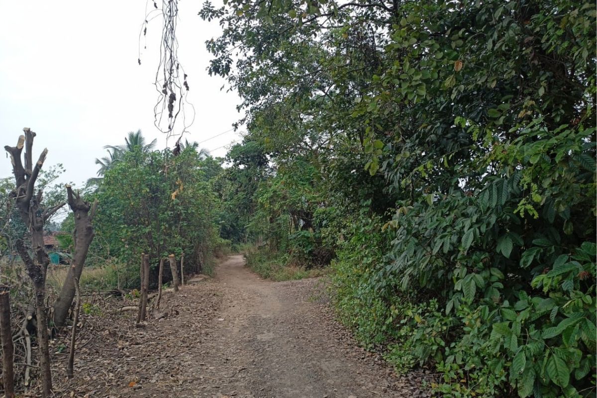 buy-5-Acre-plot-in-chaul-alibaug