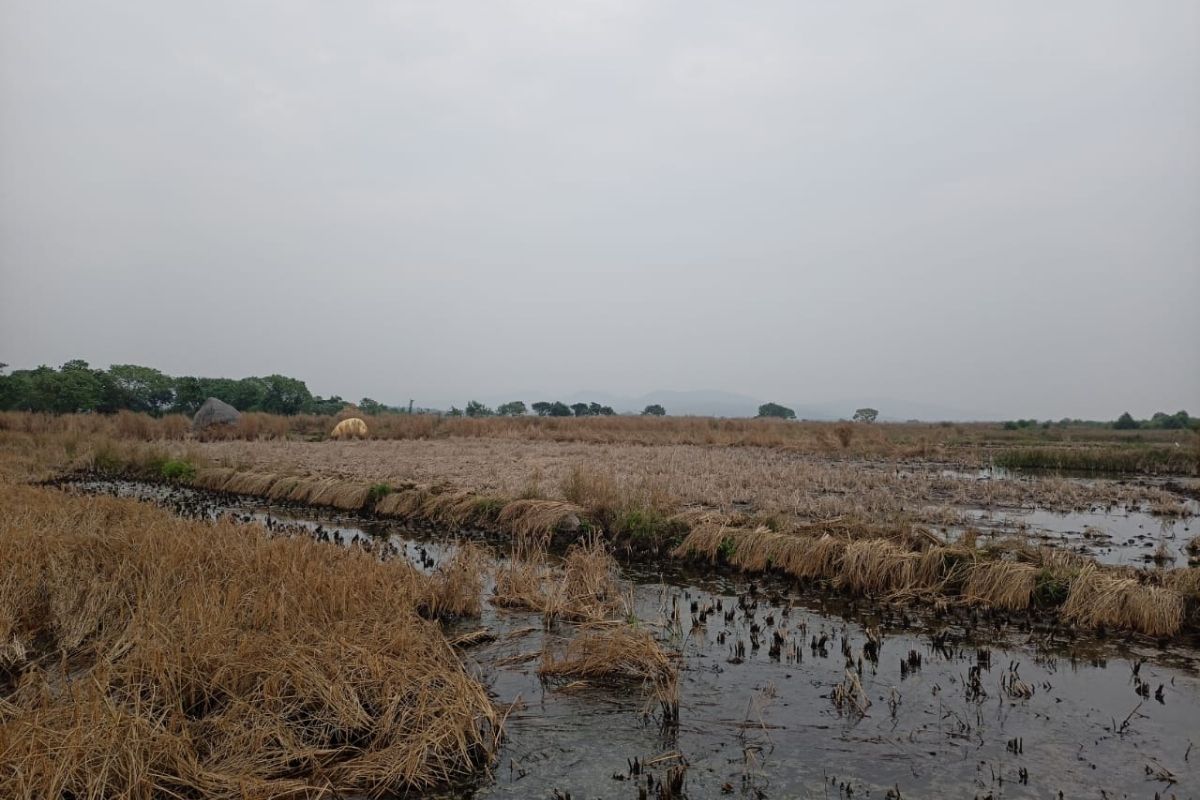 plot-for-sale-5-acre-revdanda