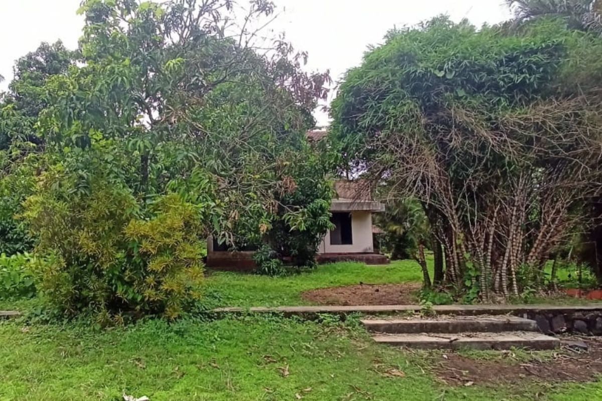 7-acre-land-for-sale-at-alibaug