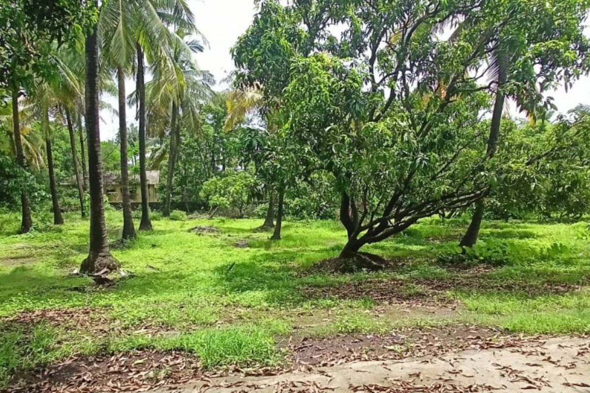 7-acre-plot-for-sale