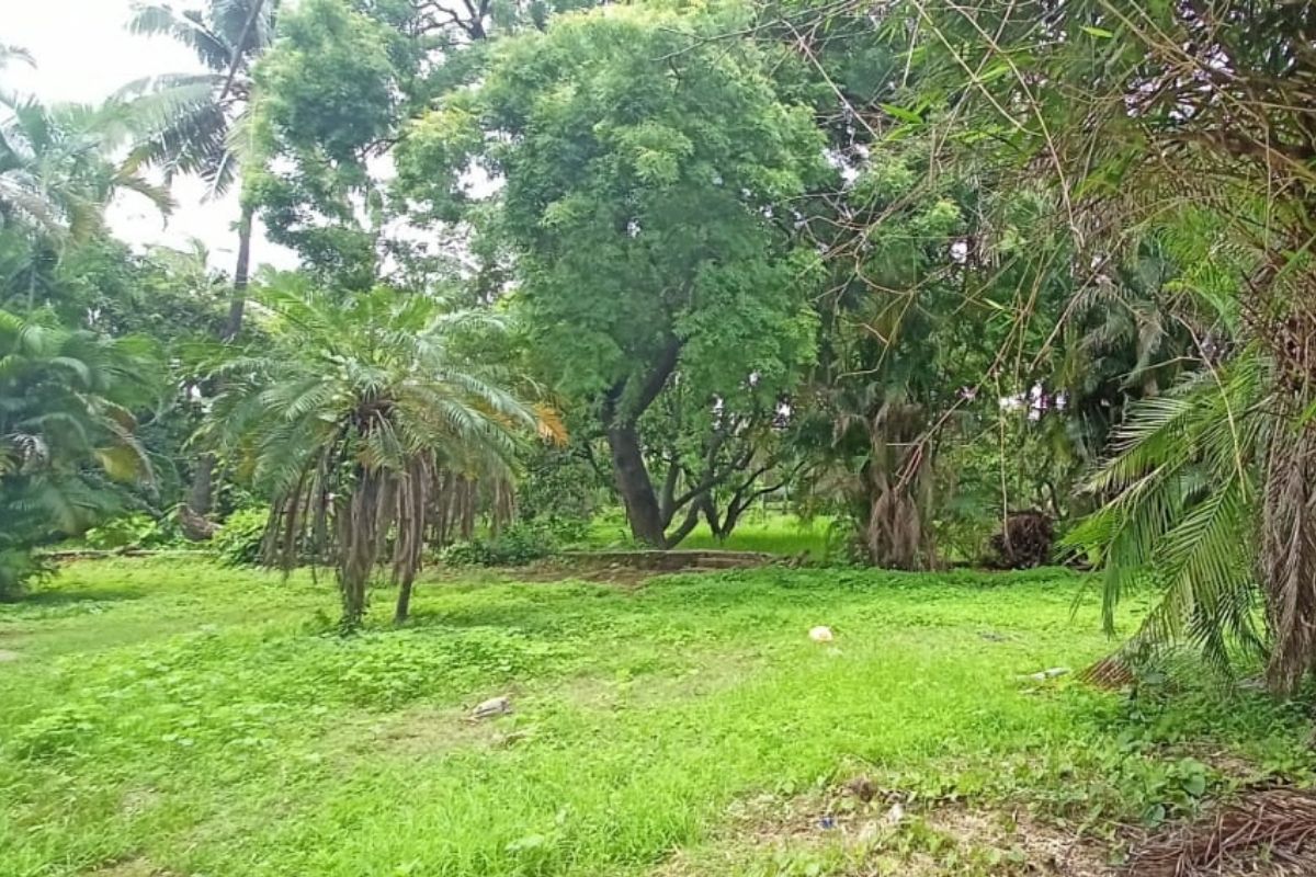 7-acre-plot-for-sale-at-alibaug