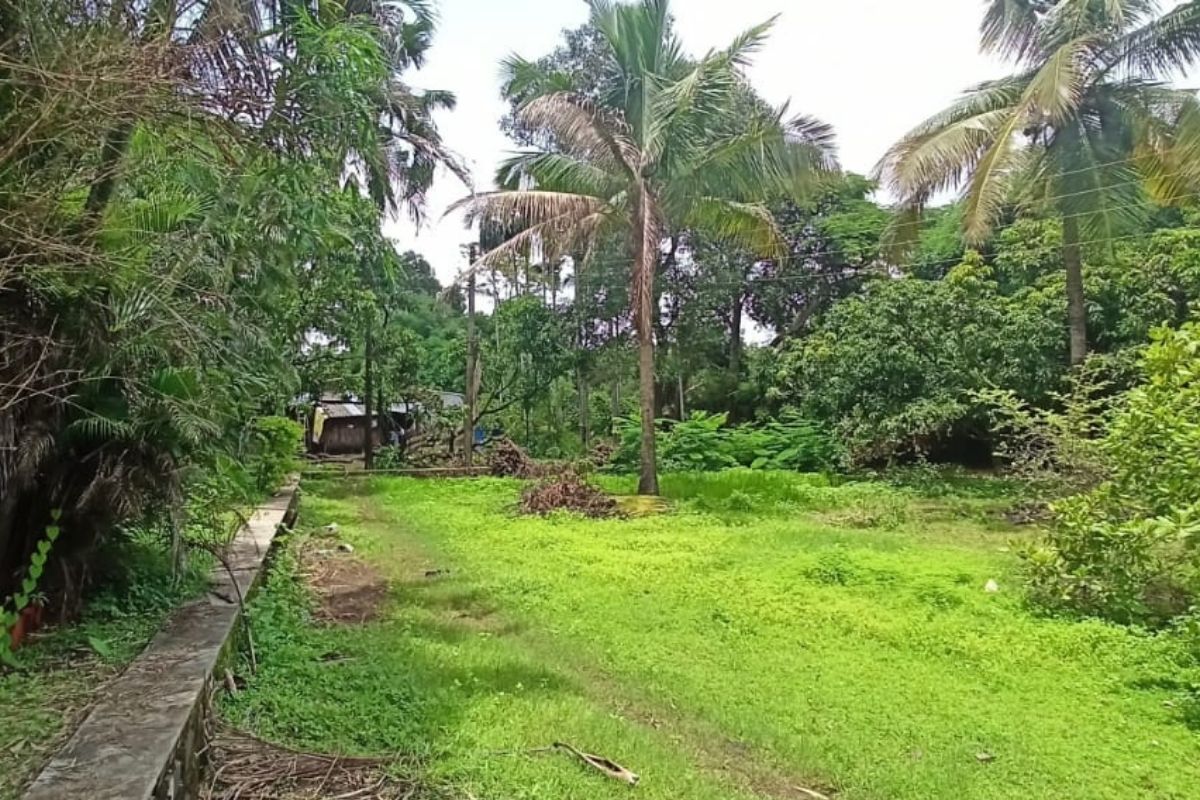 Buy-property-in-alibaug