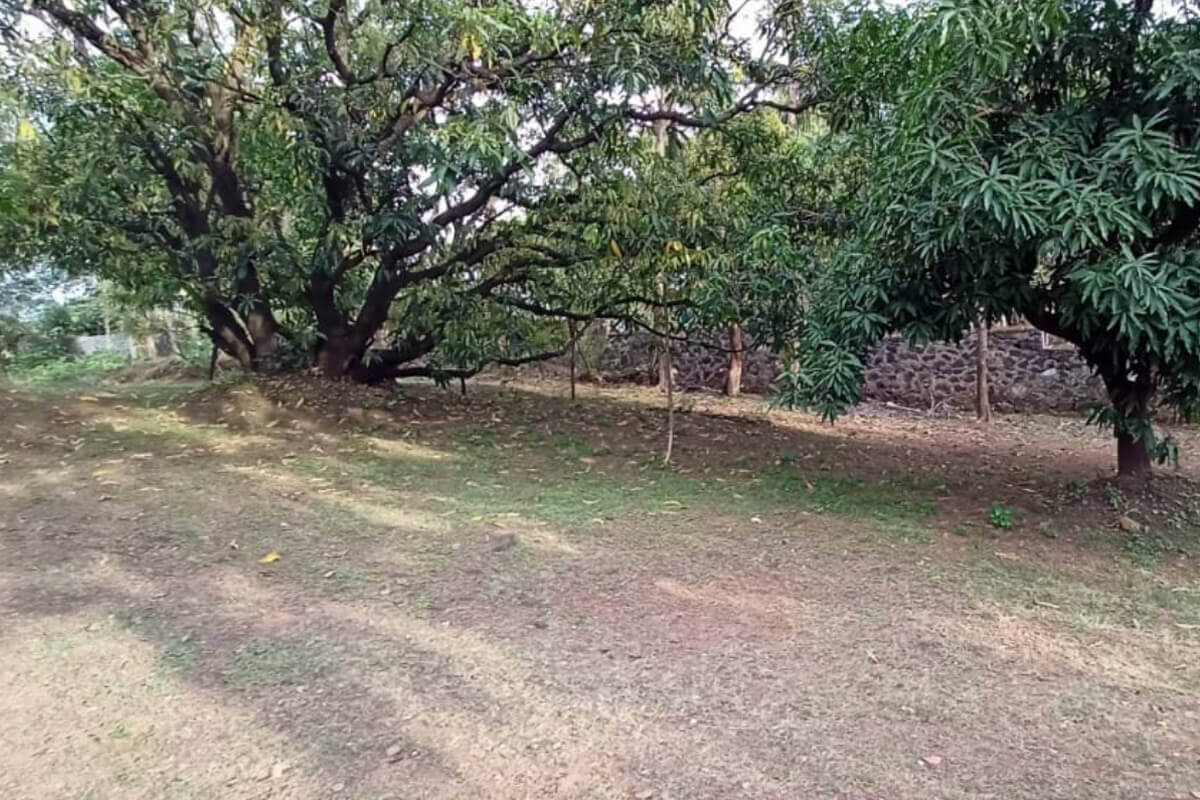 plot-for-sale-near-mandwa