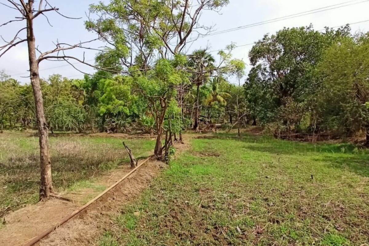 45-guntha-plot-for-sale-at-alibaug-kihim