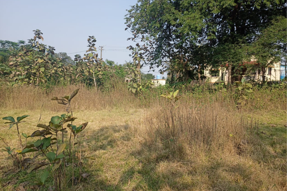 Agricultural-land-sale-84-guntha .