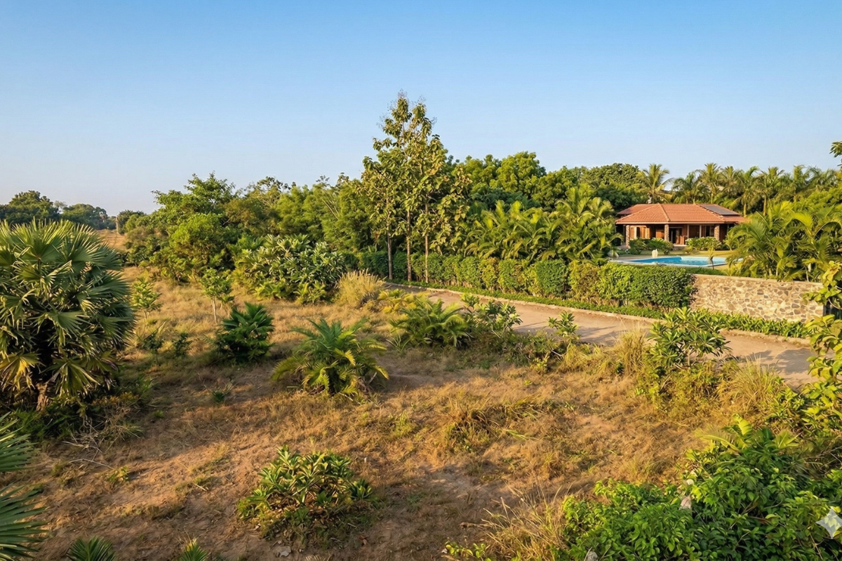 Premium investment plot Awas Alibaug 700 meters to beach G1 zone land with MTHL connectivity and high appreciation potential