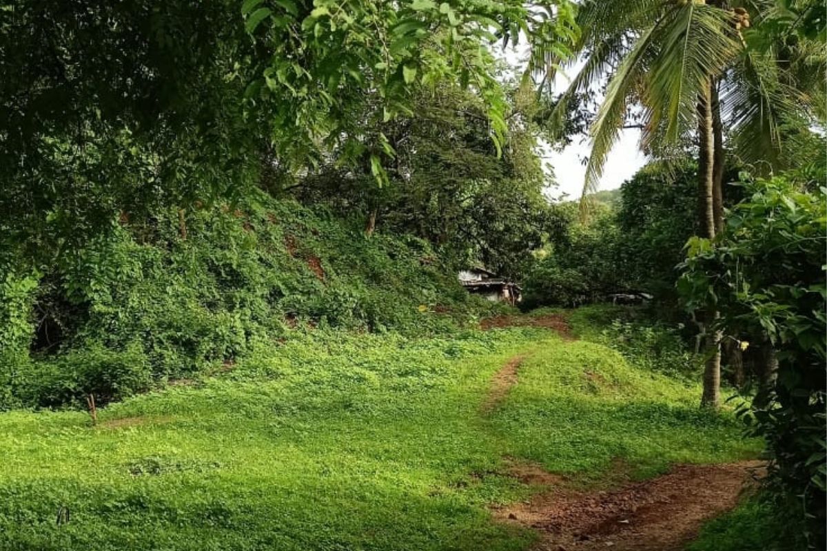 buy-38-acres-plot-at-alibaug 