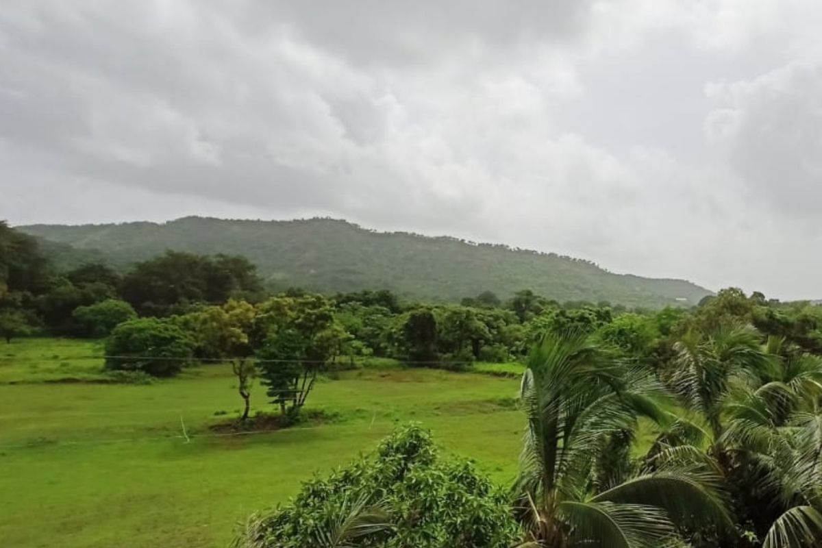 16-acre-plot-for-sale-at-alibaug 