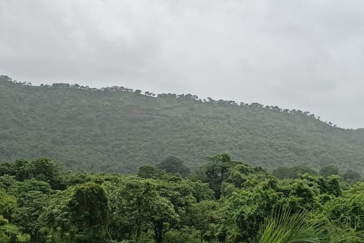 agricultural-land-for-sale-in-alibaug-16-acre