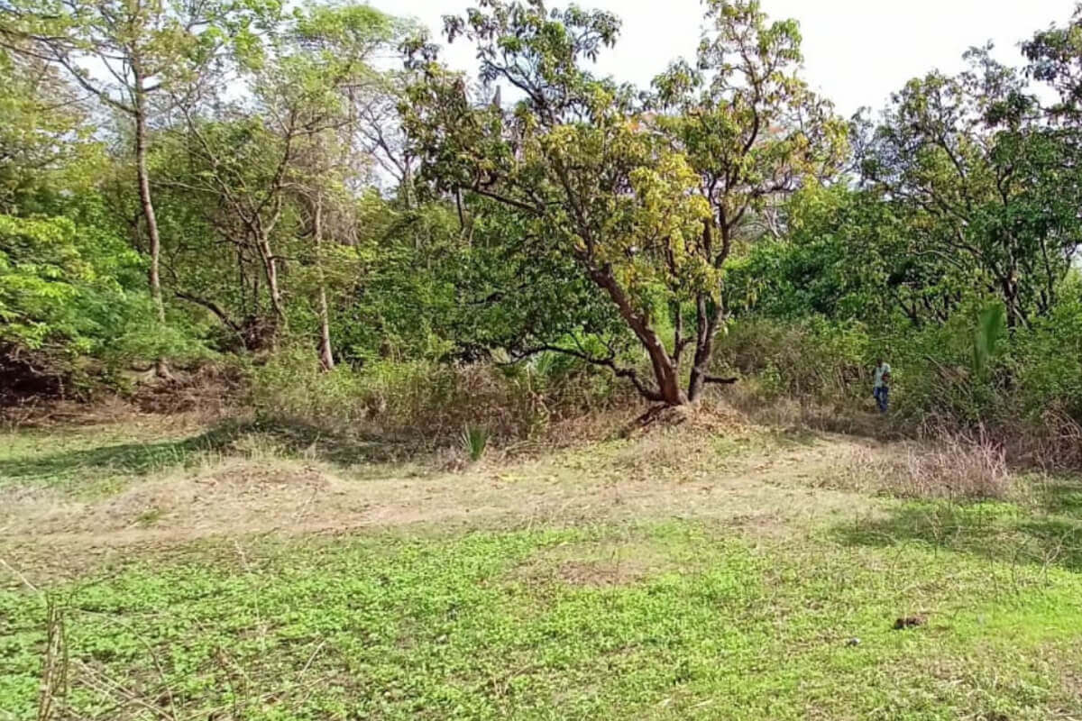 residential-plot-for-sale-in-alibaug