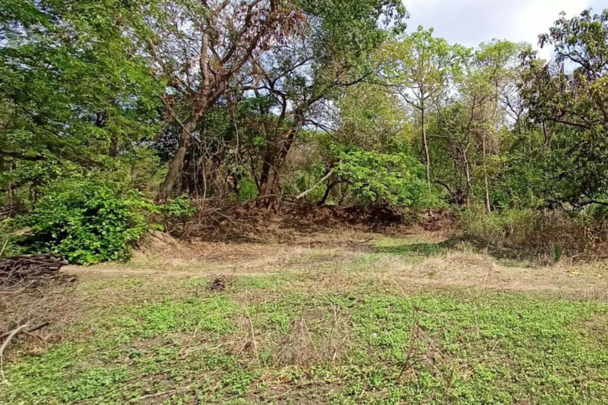 property-for-salein-alibaug-mhatroli