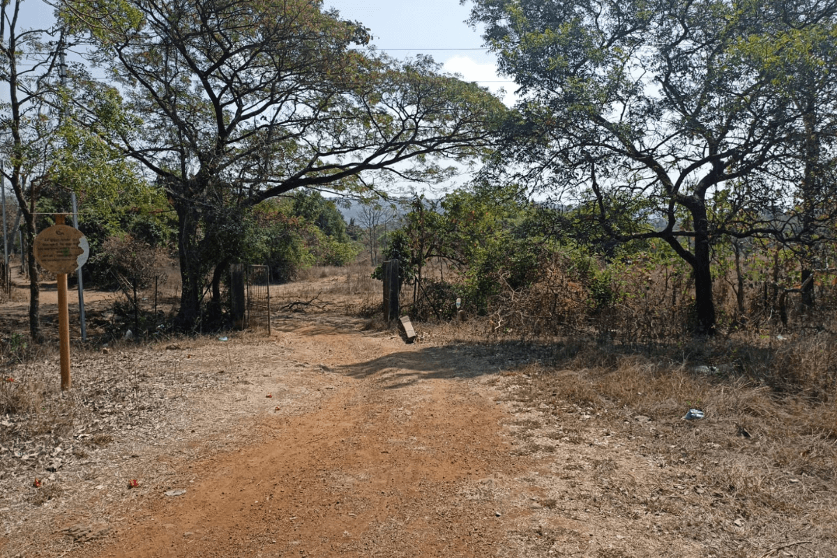 2.5-Acre-plot-for-sale-at-Dhokawade-1