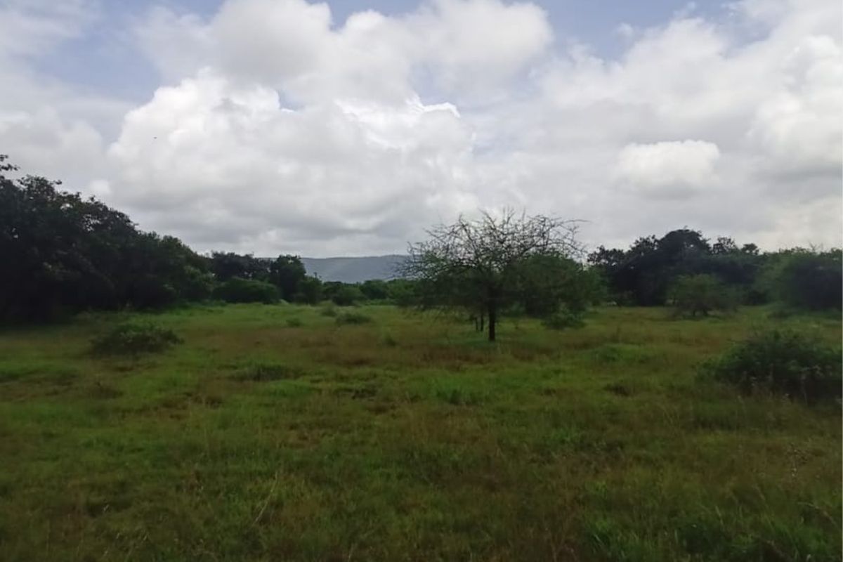 Land-for-sale-at-kihim-beach