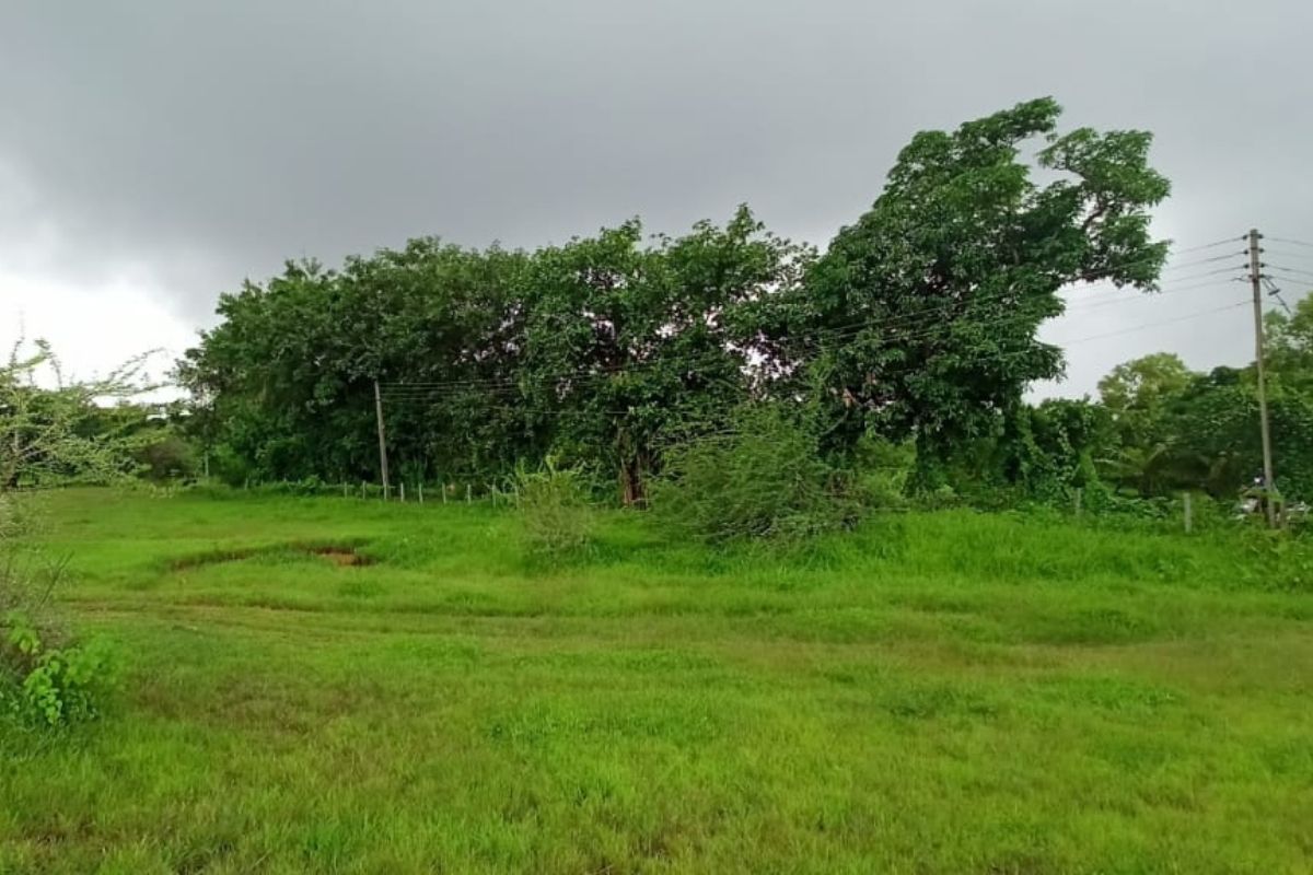 Plot-for-sale-at-kihim-beach