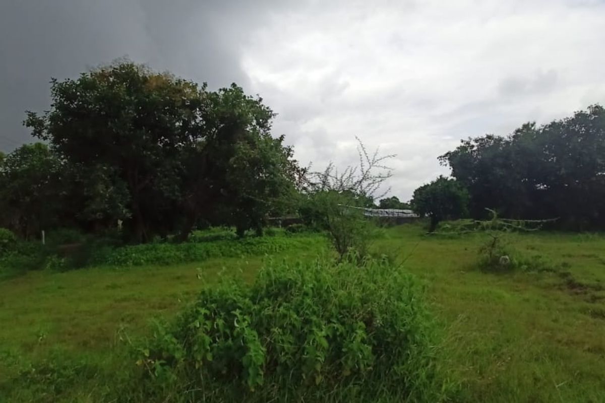 property-for-sale-4-acre-alibaug