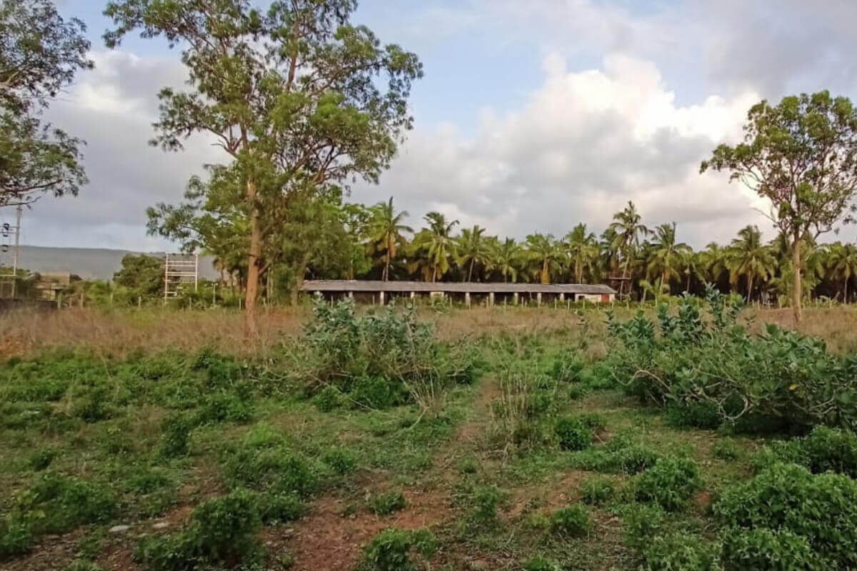 32-guntha-plot-land-for-sale-in-alibaug.